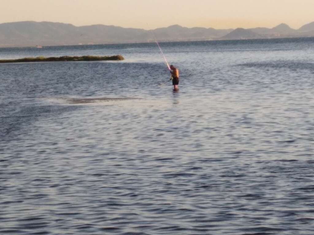EN LA ENCRUCIJADA